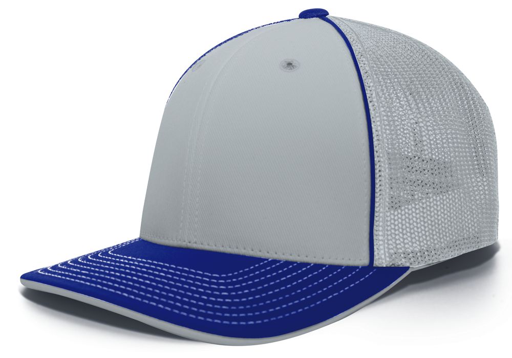 404M Pacific Flexfit Silver/Royal